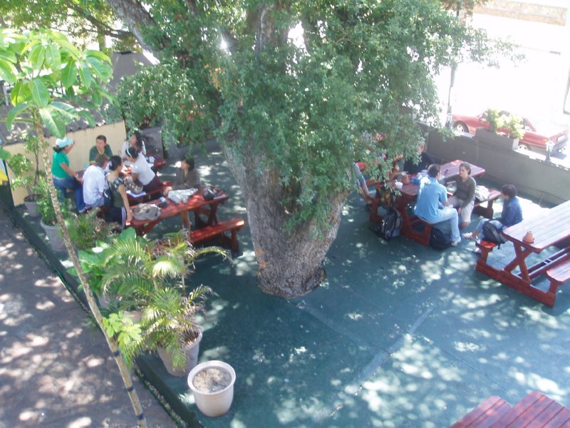 KeHa_in_South_Africa - 042